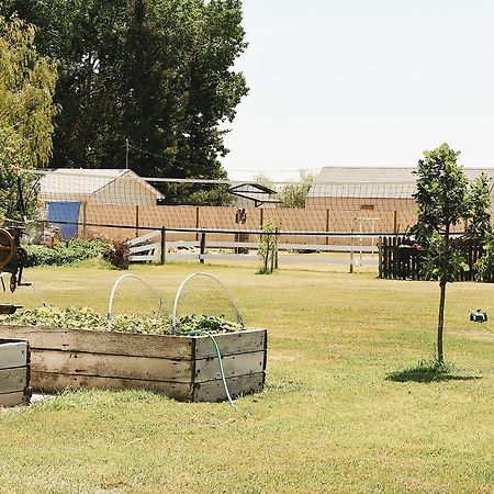 Country Barn B And B Stirling Bagian luar foto